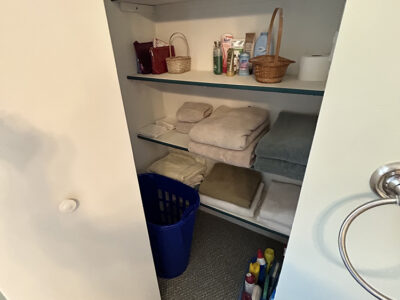 Bathroom Closet Before